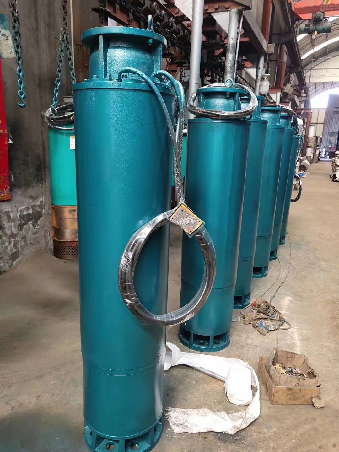 BQS隔爆(bao)型礦用潛水排沙(sha)泵